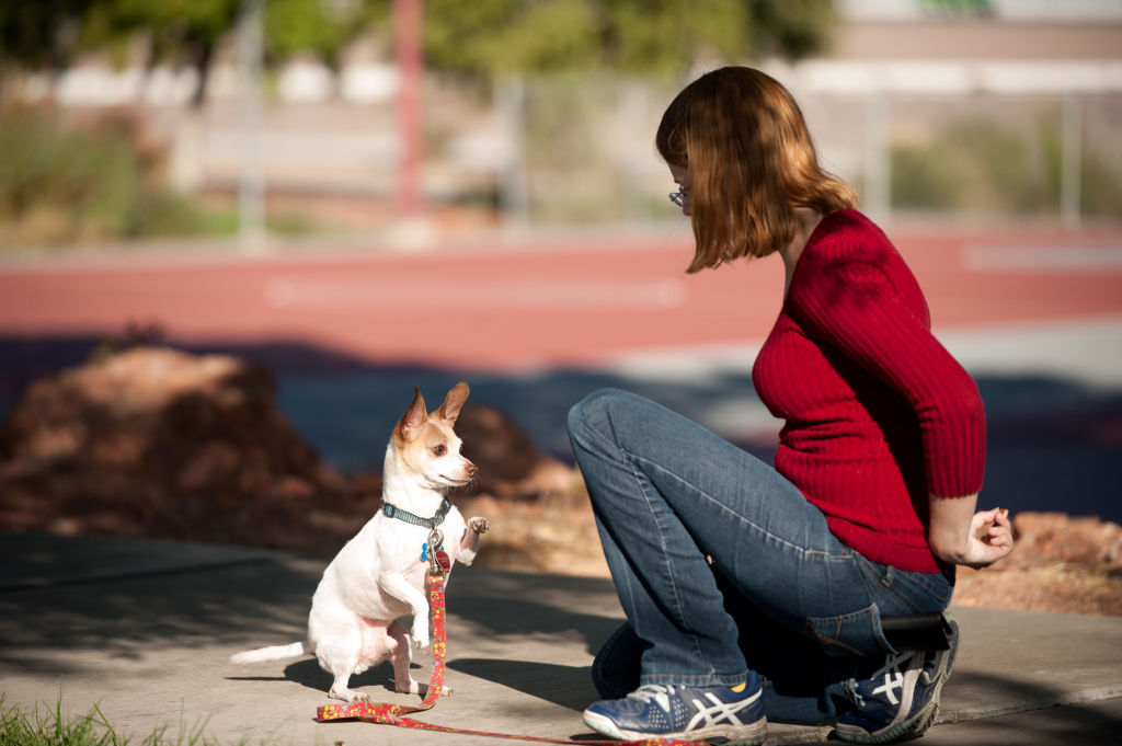 where can i walk my dog in las vegas