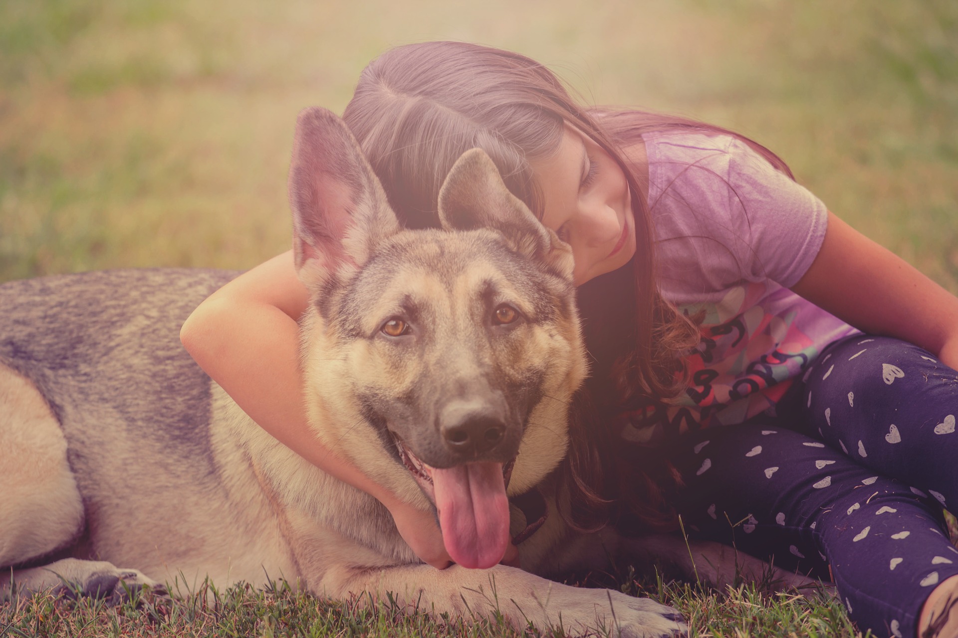 Little girl laying with a German Shepherd - teaching children how to respectfully interact with dogs and animals