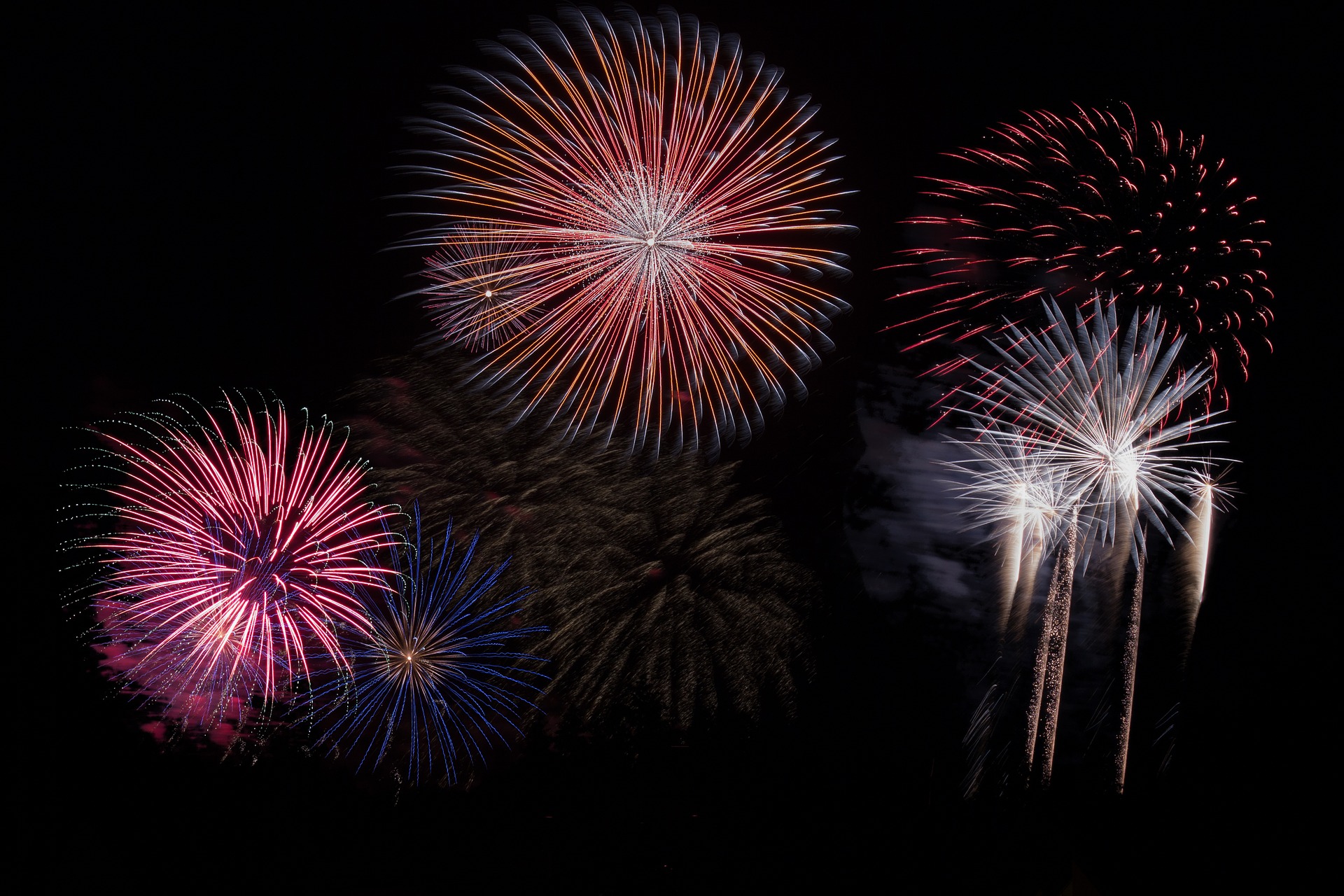 Picture of fireworks for 4th of July - How to help your dog through the 4th of July festivities 