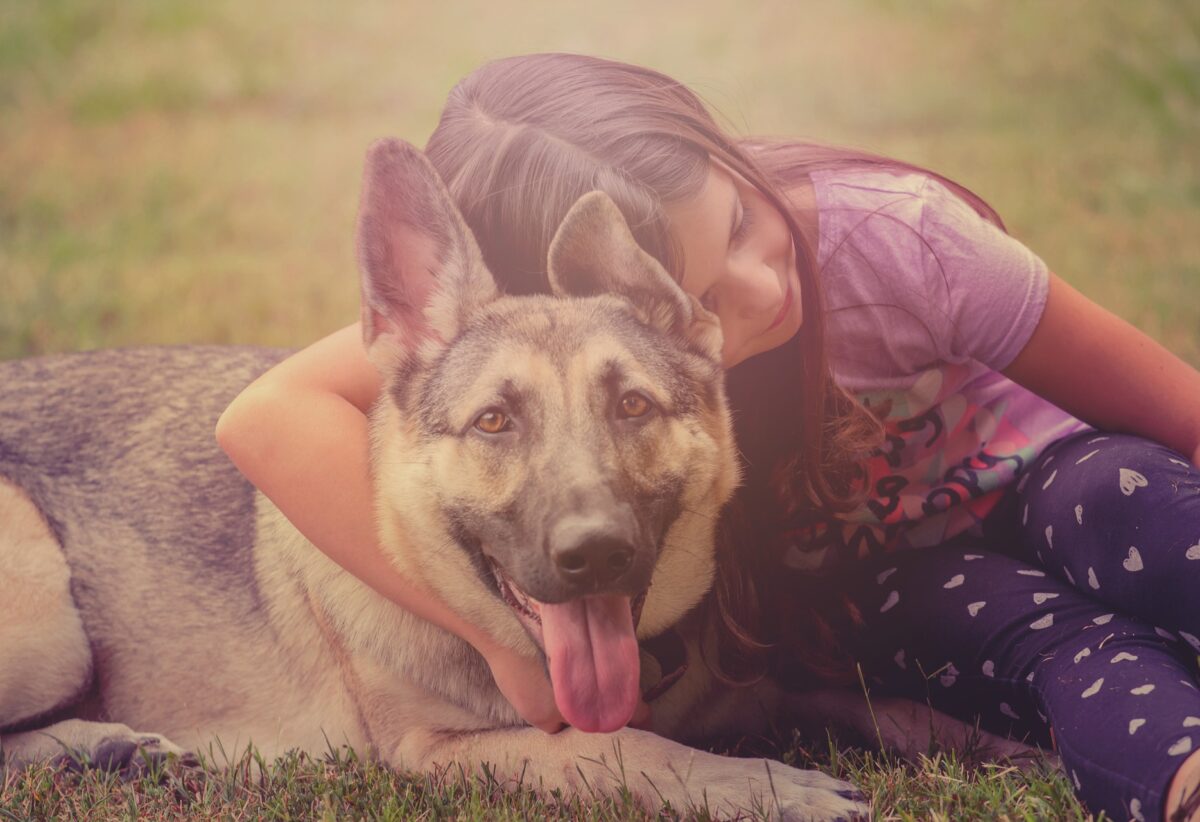 Little girl laying with a German Shepherd - teaching kids how to respectfully interact with dogs and animals