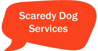 scaredy dog services